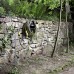 Садовый шланг Karcher Performance Plus 3/4" - 50 m