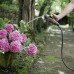 Садовый шланг Karcher Performance Premium 1/2" - 50m