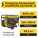 Бензиновый генератор Champion GG7501E-3